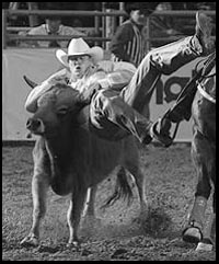 History of Straw hats and Felt hats - Hat care